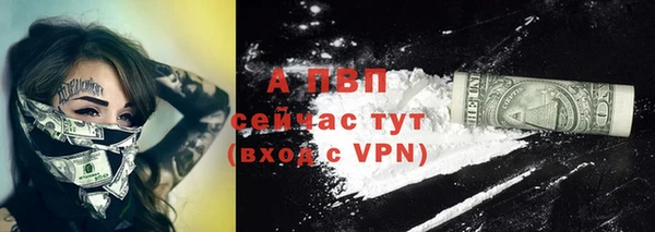 прущие крисы Пересвет