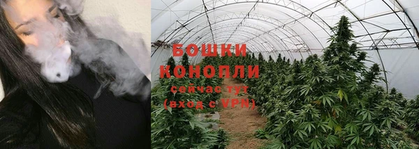 прущие крисы Пересвет