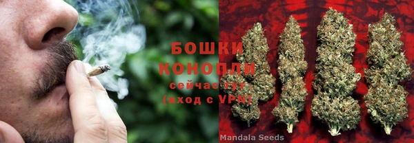 сатива Абаза