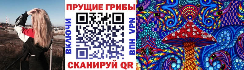 Псилоцибиновые грибы мицелий  Рославль 
